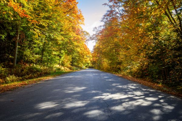 Cost of Blacktop Replacement in Lincoln